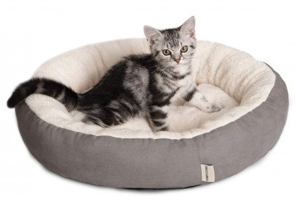 Lead photo for Best Bang for the Buck