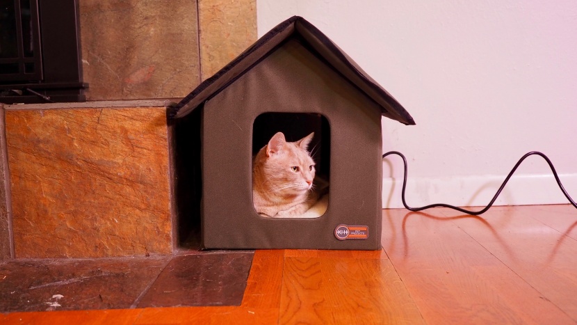 cat bed - the k&h pet products outdoor kitty house is very sturdily built.