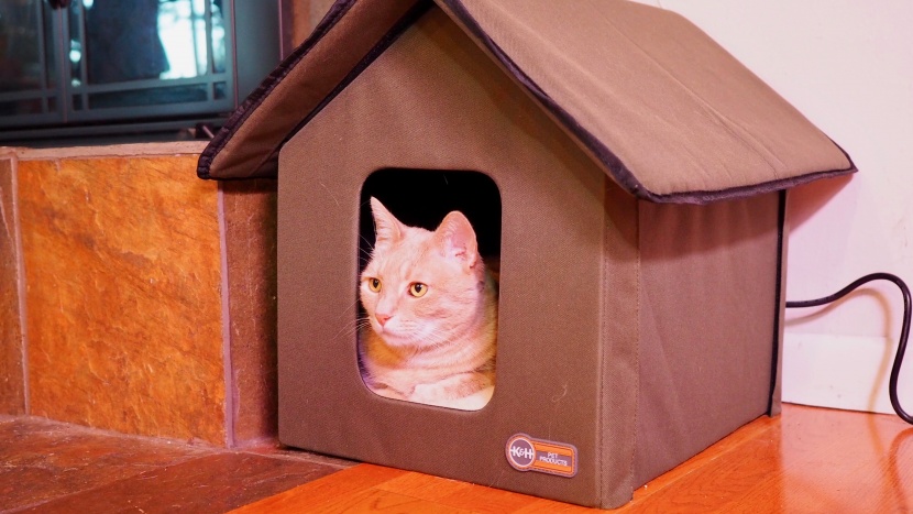 cat bed - the outdoor kitty house provides a nice shelter from the cold...