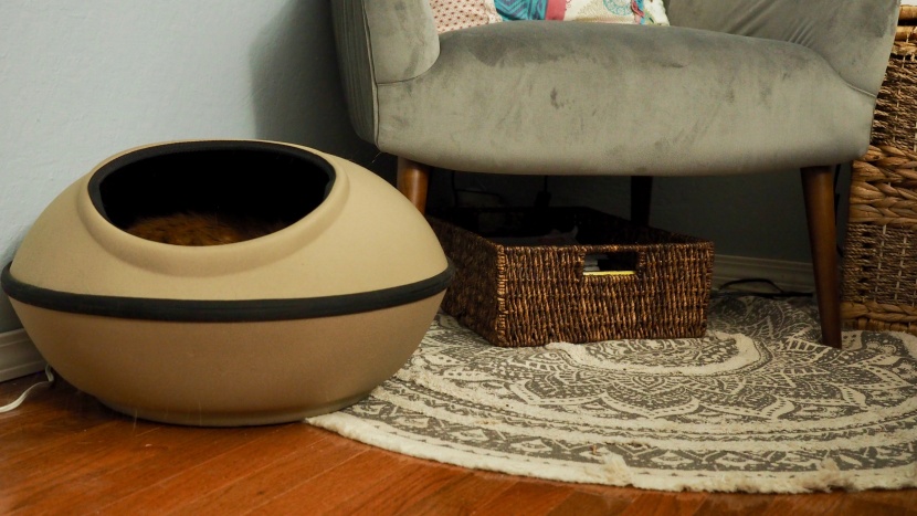 cat bed - the thermo-mod dream pod was all of our cats' first choice.