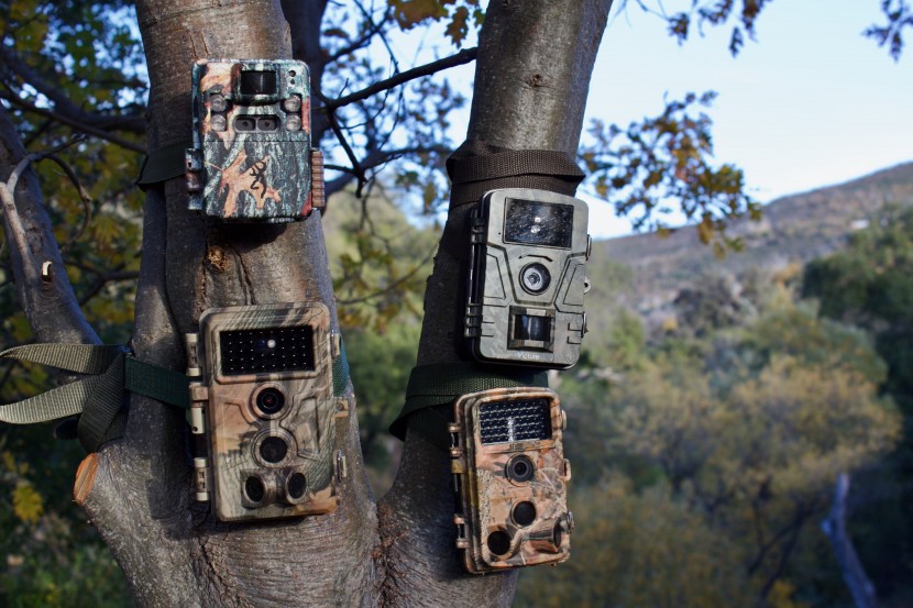 we tested each camera in the field for multiple days in a row in see...
