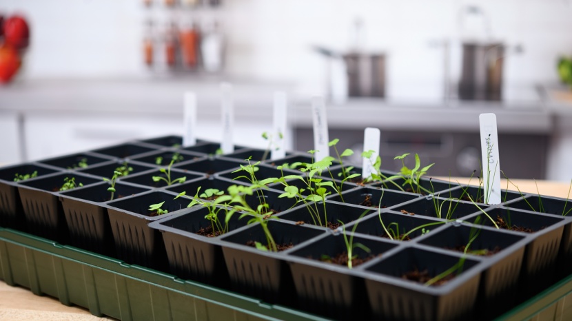 seed starter kit - this model has a mat between the trays that constantly and evenly...