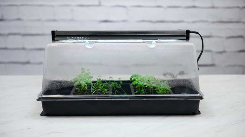 seed starter kit - a grow light and a heating pad are included with the purchase of...