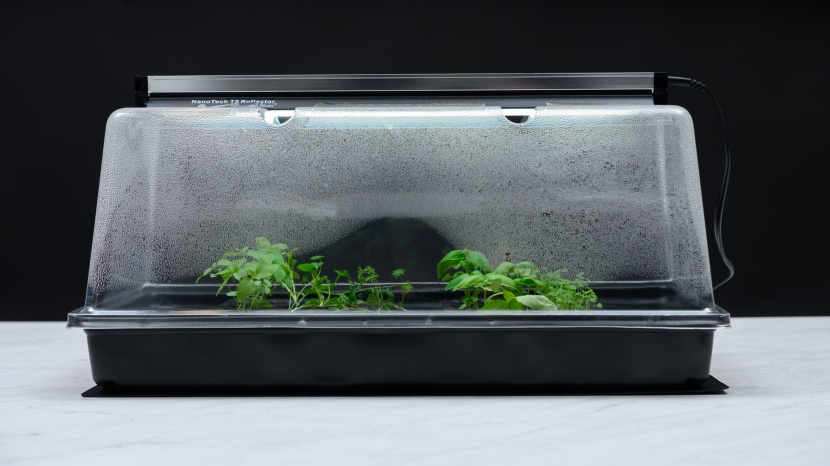 seed starter kit - the super sprouter produced some of the best results we've ever seen...