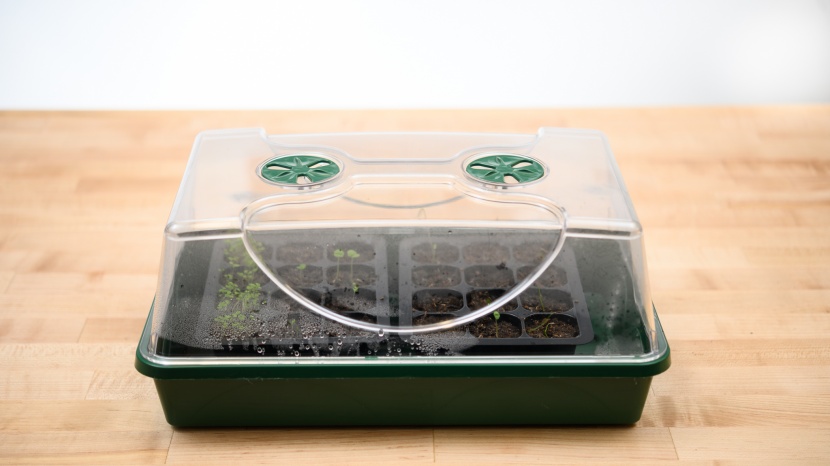 seed starter kit - the earlygrow is solid enough to last for many germination cycles.