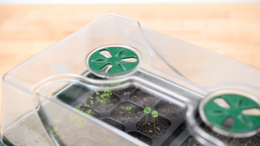 seed starter kit - models with vents allow you to control the humidity for your...