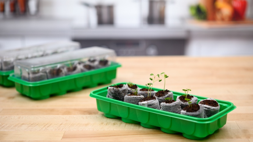 seed starter kit - the trays included with this kit are slim enough to set on a...