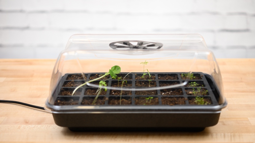 seed starter kit - the ipower has an integrated heater to aid in the process of...