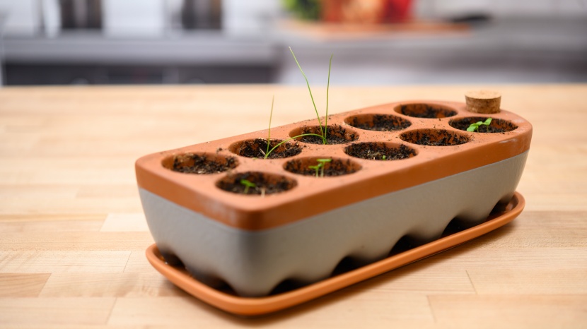 seed starter kit - this ceramic model is much easier on the eyes than plastic models.