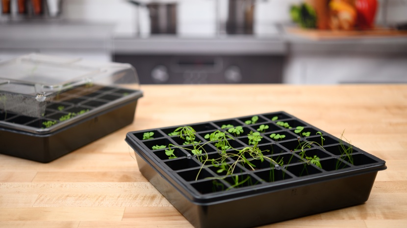seed starter kit - the burpee seed starter tray produces good results, especially...