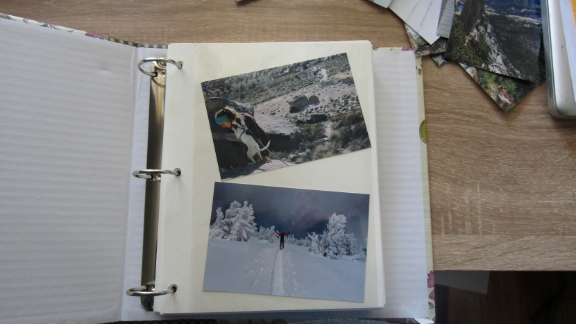 the pioneer magnetic self stick 3-ring album fits about two photos...