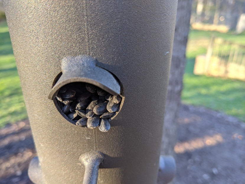 bird seed - tube feeders with larger openings can handle bigger pieces like nuts...