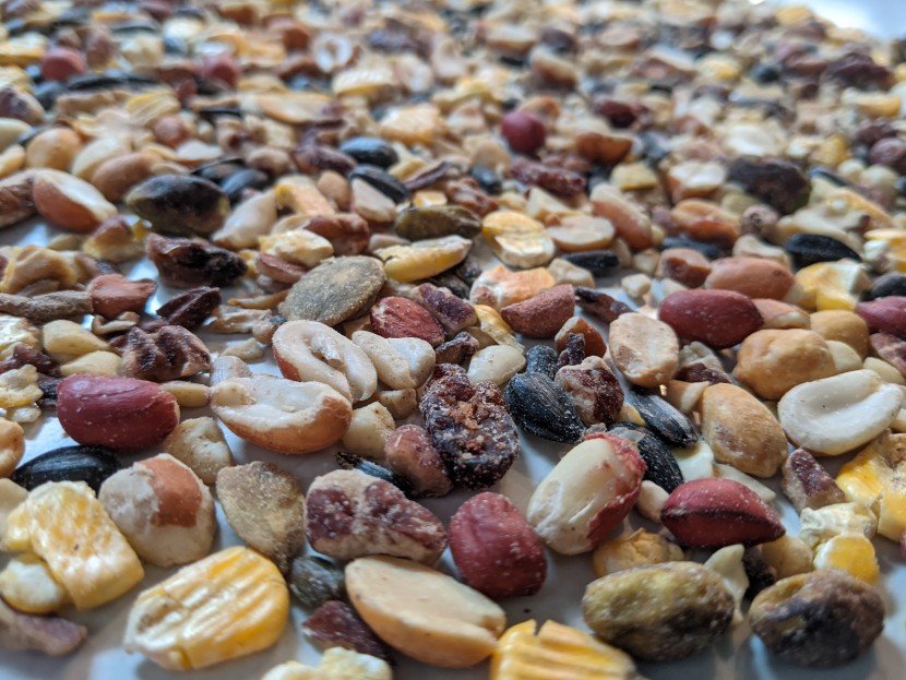 bird seed - the lyric mix looks and smells like trail mix. we were tempted but...