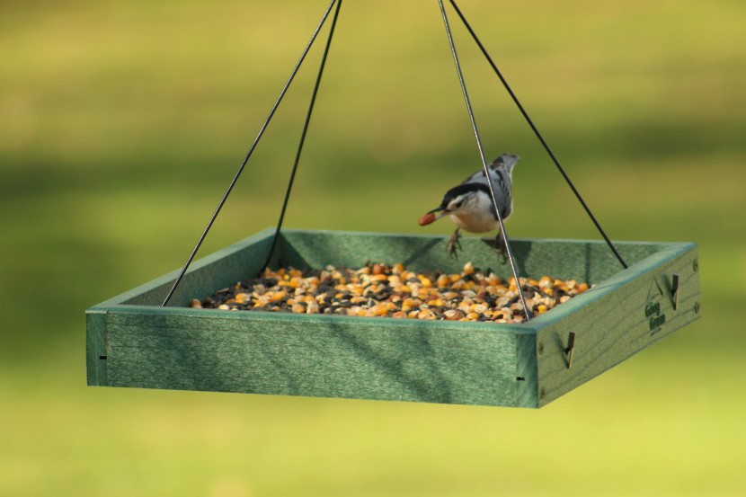 bird feeder - the woodlink is so easy. just dump seed in, dump extras out, and...