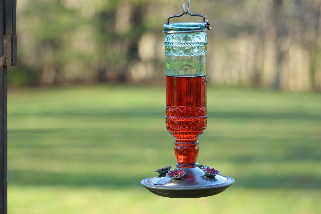 bird seed - experts recommend against using red dye in hummingbird nectar.