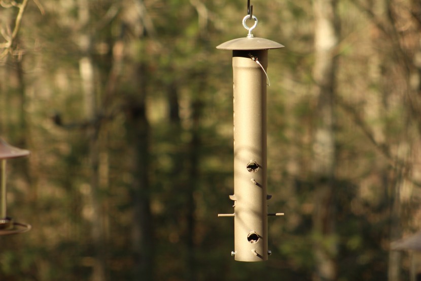 bird feeder - building a feeder that will stand up to bears is a good way to build...