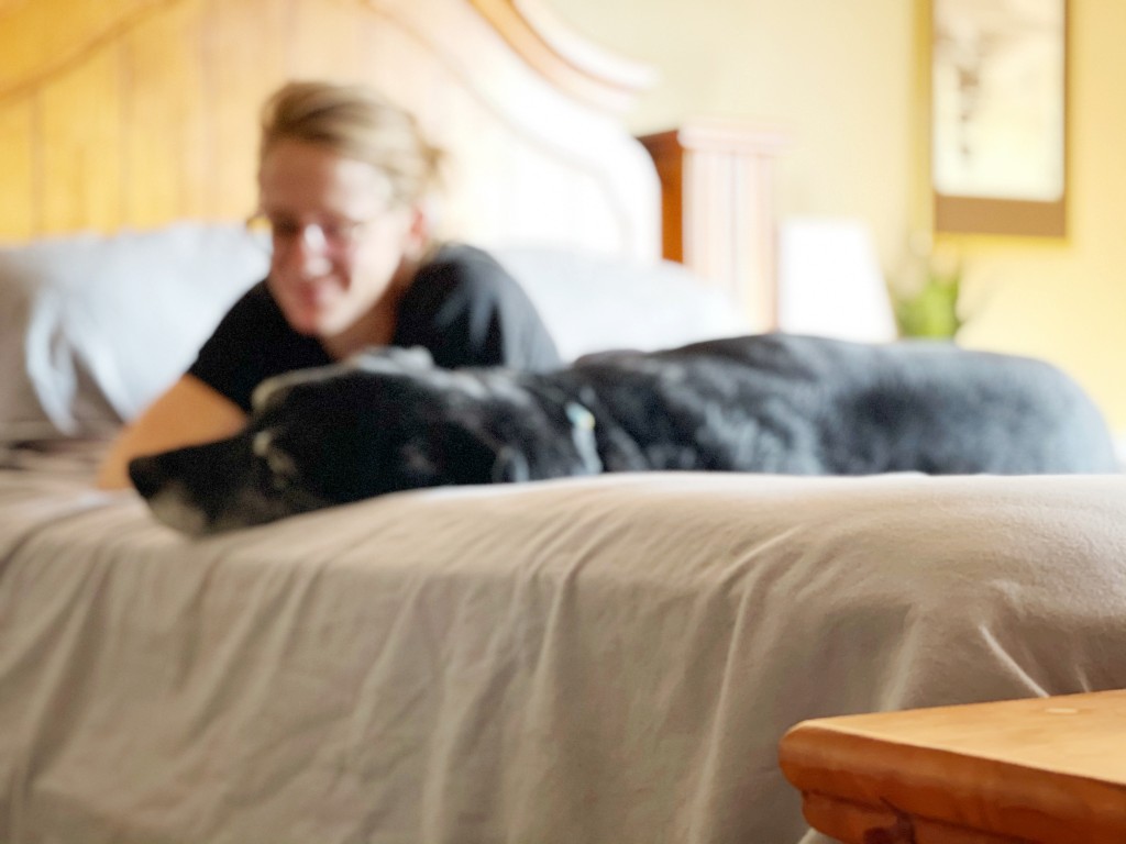 flannel sheets - from snuggly winter evenings to chilly weekend mornings, we've found...
