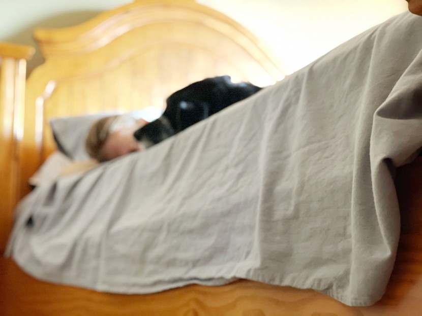 flannel sheets - the stone & beam flat sheet has plenty of space left over on...