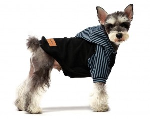 dog hoodie