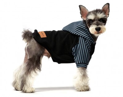 Lead photo for Trendy and Tactile