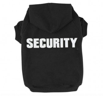 Lead photo for For the Comedian