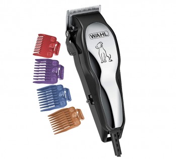 Lead photo for Best Bang for Your Buck