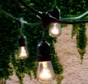 Best Incandescent Edison Style