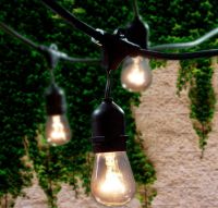 Best Incandescent Edison Style