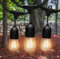 Best Overall String Lights