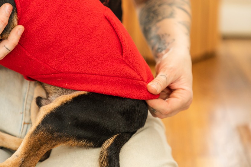 dog hoodie - the long back offers additional coverage and warmth and the stretchy...
