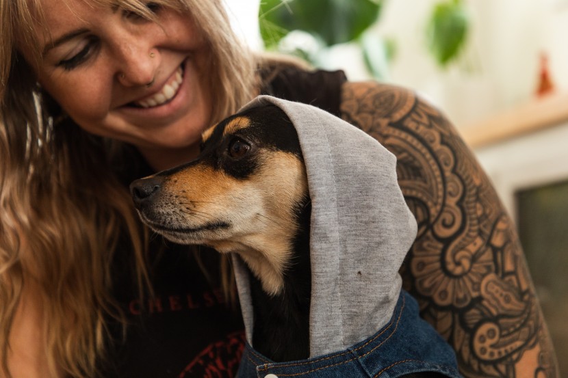 dog hoodie - the built-in hood really completes this look. it fits perfectly and...