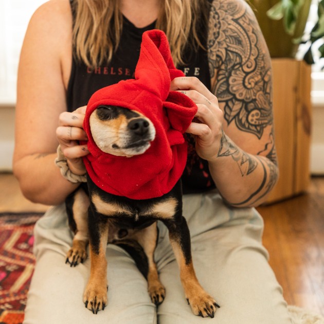 despite what this picture looks like, the expawlorer is very easy to...