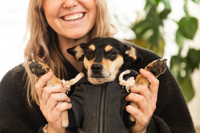 dog hoodie - the ellie is where quality meets style.