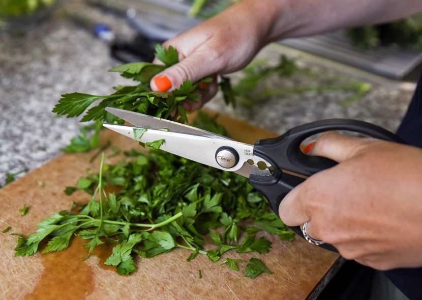 kitchen shears - the oxo scissors making easy work of this bunch of cilantro.