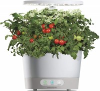 Best Mid-Sized Indoor Garden
