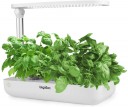 A Humdrum Indoor Garden