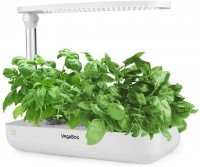 A Humdrum Indoor Garden