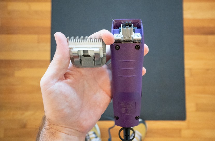 dog clippers - some dog clippers have blades that are easier to remove than others...