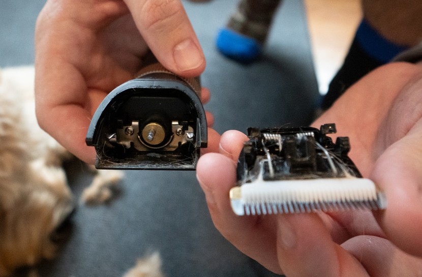 the pettingpal clippers feature an easy-to-remove clipper head.