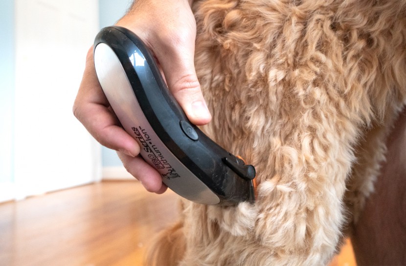 dog clippers - the wahl lithium ion pro clippers charge in just a few short minutes...