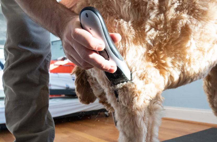 dog clippers - the wahl easy pro dog clippers will do the trick for a quick and...
