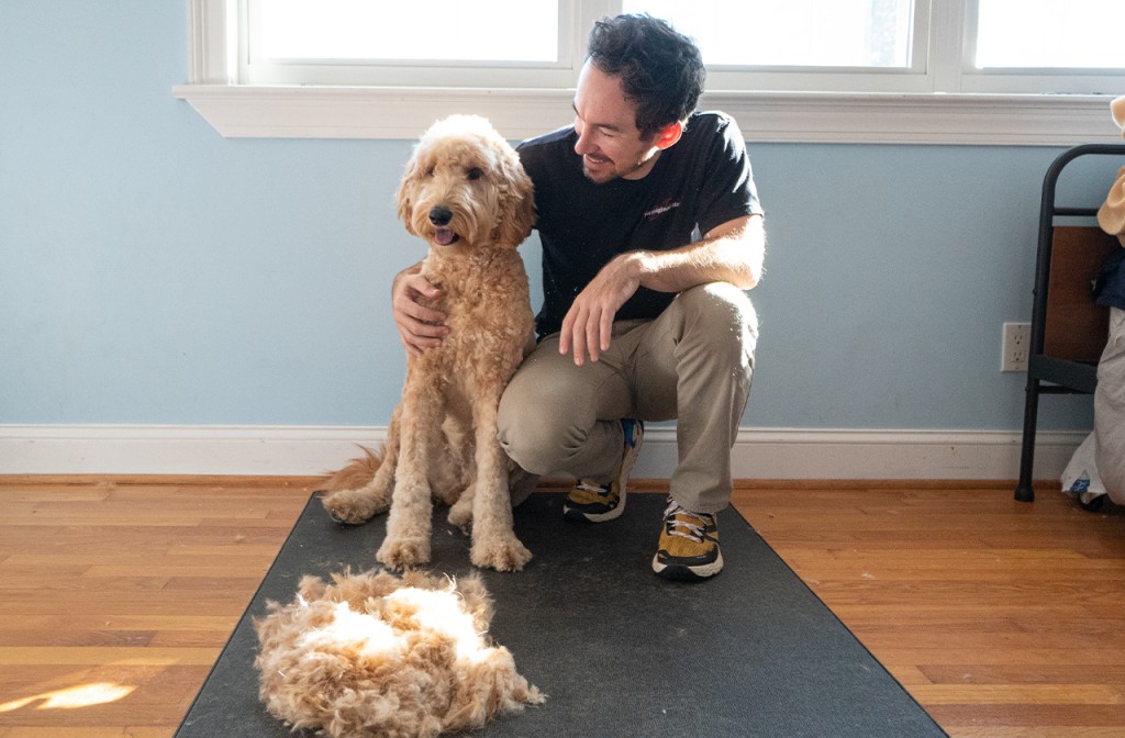 dog clippers - we clipped. then we clipped again. and once more.