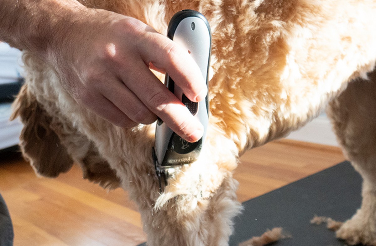 Best Dog Clippers Review (Wahl Easy-Pro dog clippers are perfect for a quick trim)