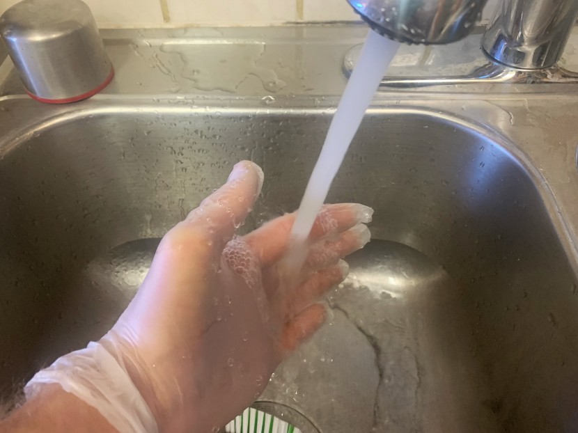 disposable gloves - the ammex gloveplus industrial clear offered decent protection from...