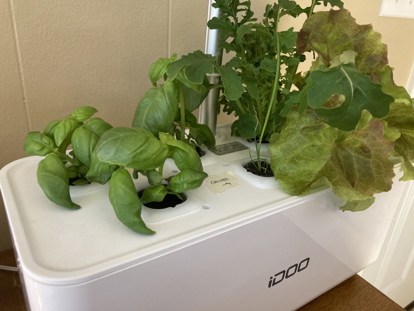 indoor garden - we took careful notes and frequent photos from seed to harvest to...