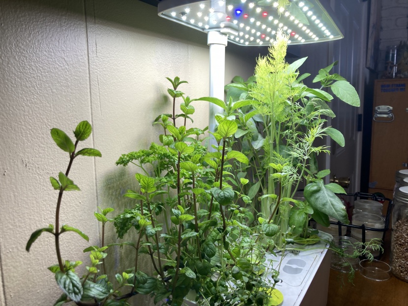 we grew tons of herds in the course of our testing. we found that...