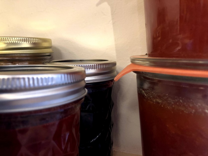 canning jars - when the rubber tab found on the gasket of the weck jars is turned...
