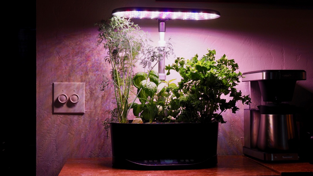 indoor garden - towering plants? that's no problem with the easily adjustable...
