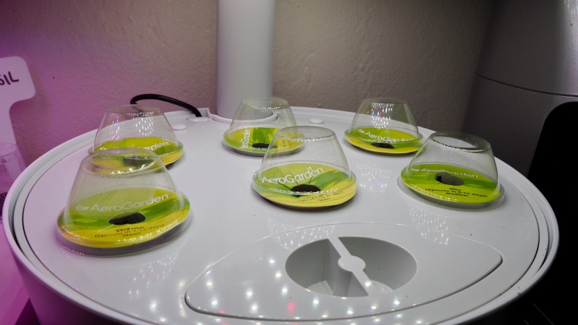 indoor garden - having loaded the seed pods into the garden it is just a waiting...