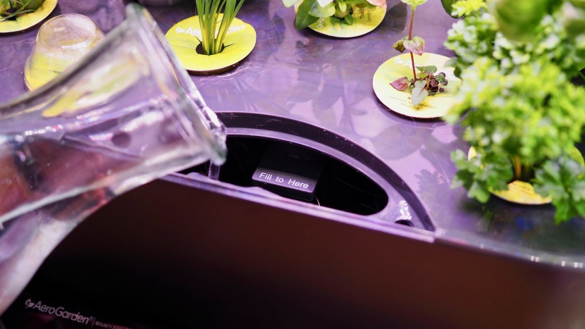 indoor garden - the ease (or difficulty in some cases) of accessing the water...